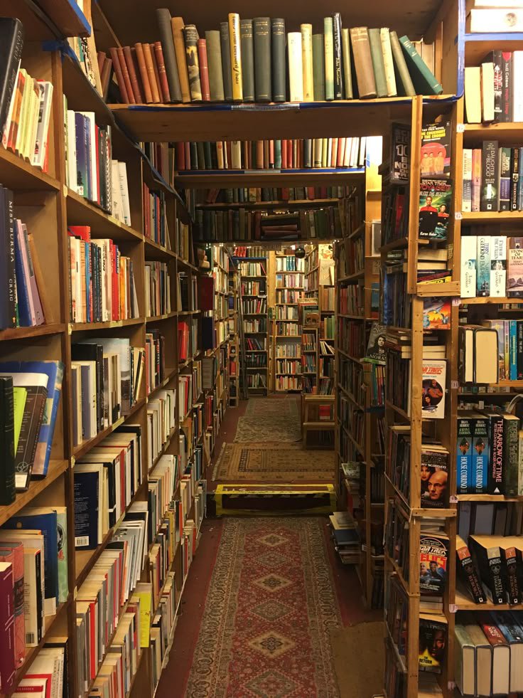 Beauty Explorer tweet media