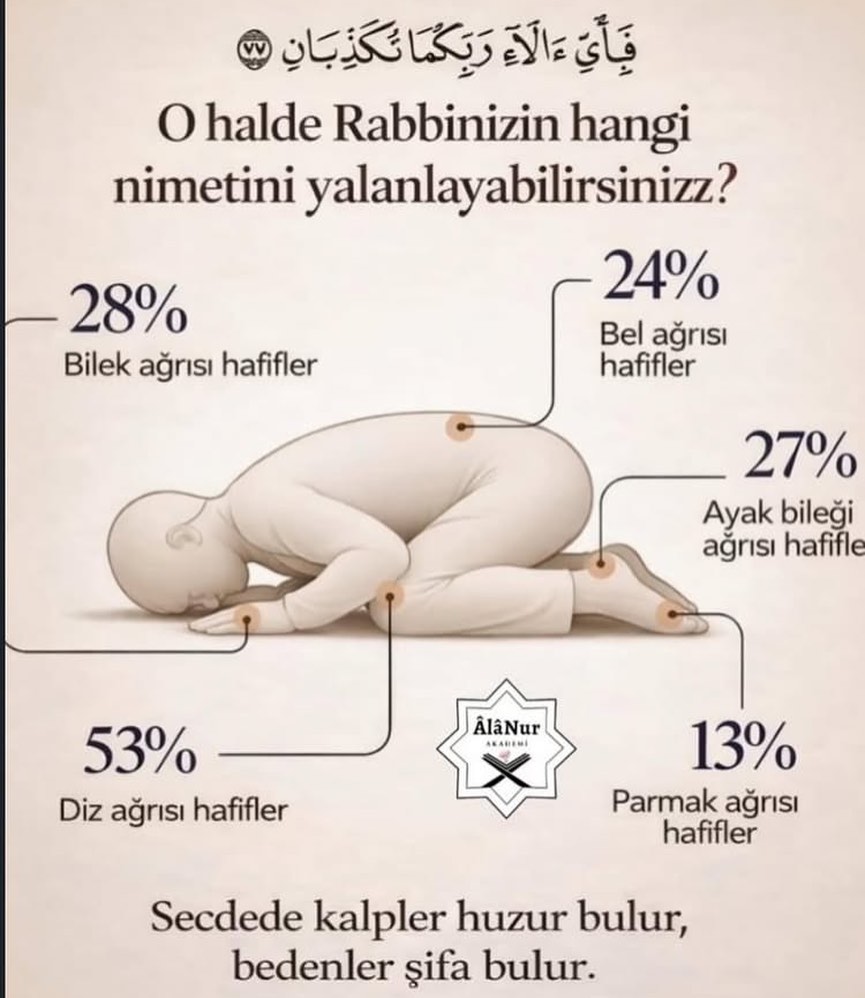 i.dönmez tweet media