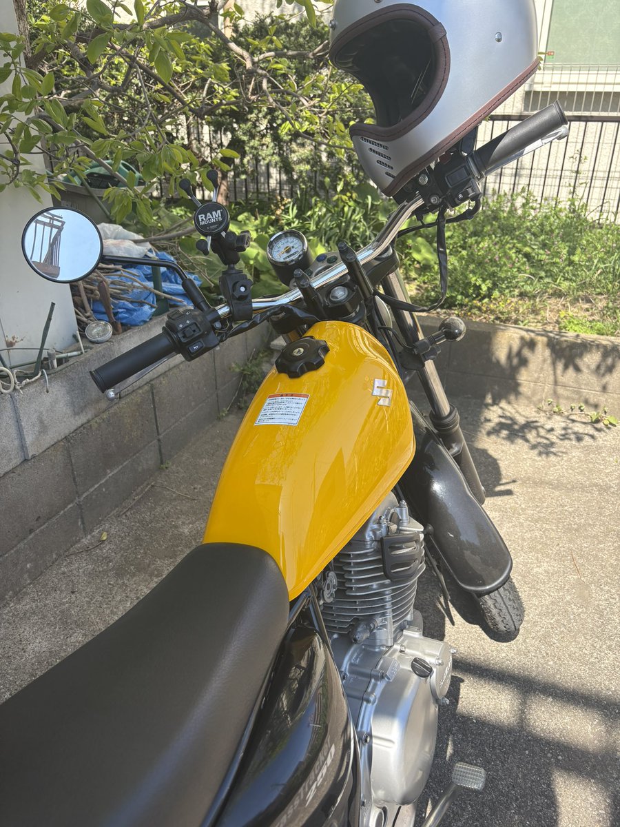 【筋肉女子】すずか.suzuka tweet media