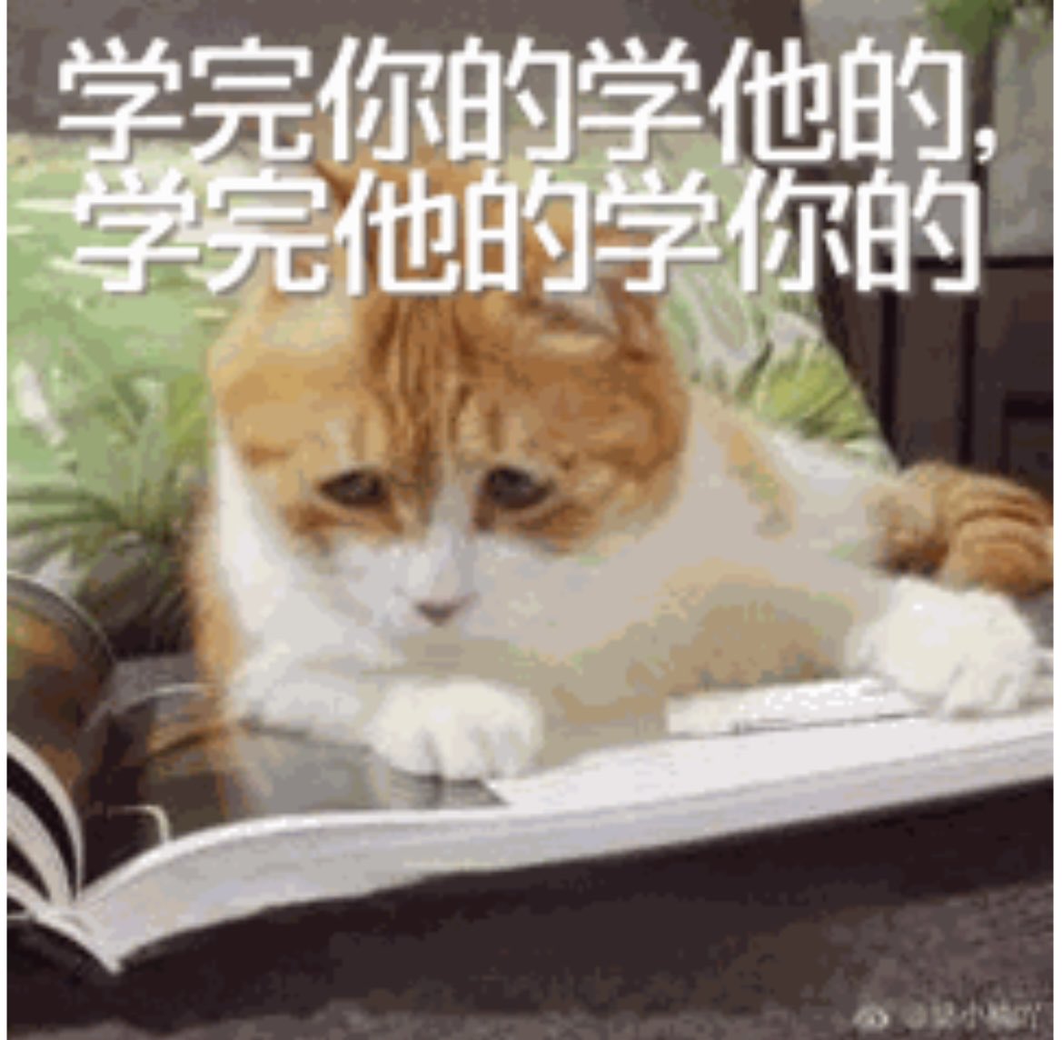 John351bot's tweet photo. 学不完，根本学不完

openclaw 都还没完全整明白，Hermes 又出来了

现在的感觉比上学的时候还渴望知识。生怕错过“一个亿”。

学起来学起来 https://t.co/6KsWU88Ek8