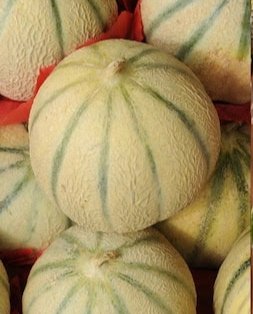 Vipendra Kumar tweet media