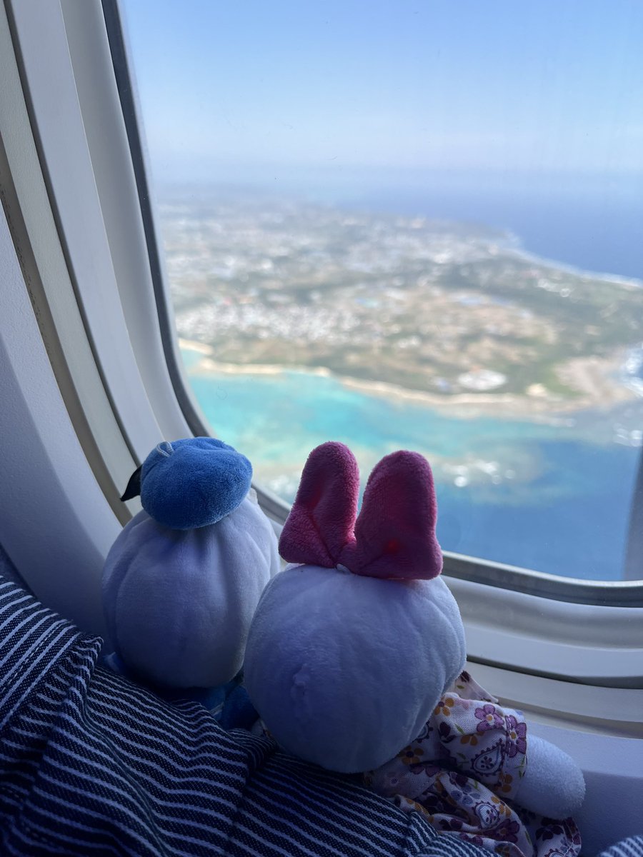 Mr.ダッキー tweet media