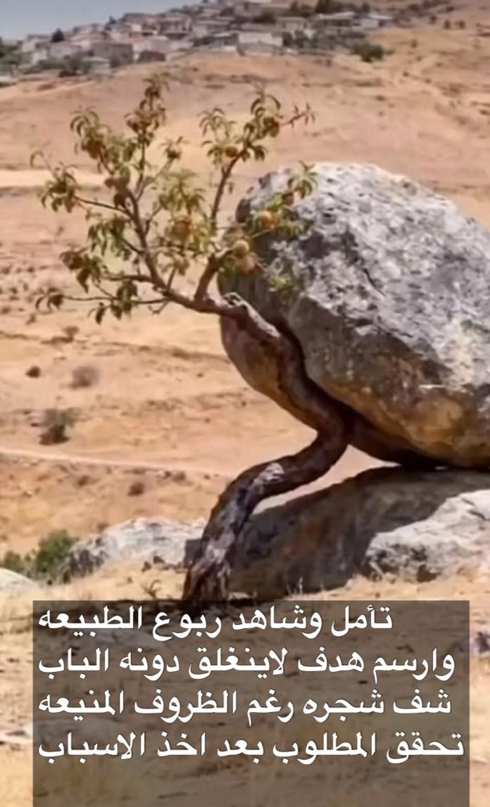 NKmees's tweet photo. راع المغرا https://t.co/YkA4kmtTkH