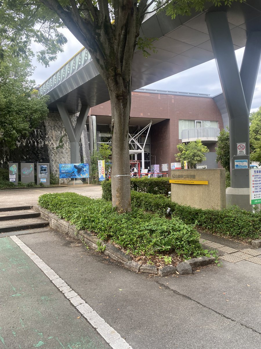 なつき/#ffff00 tweet media