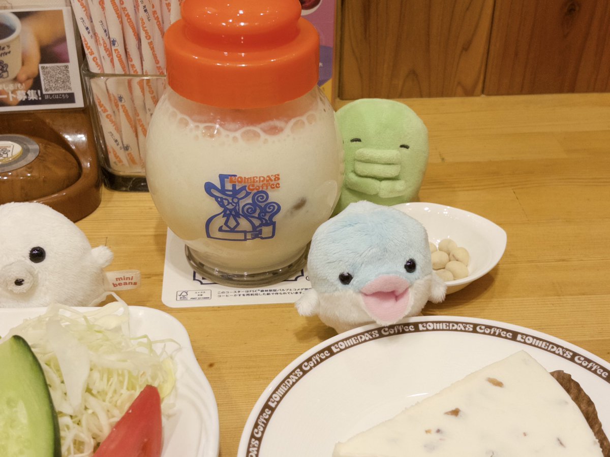 まめぴ tweet media