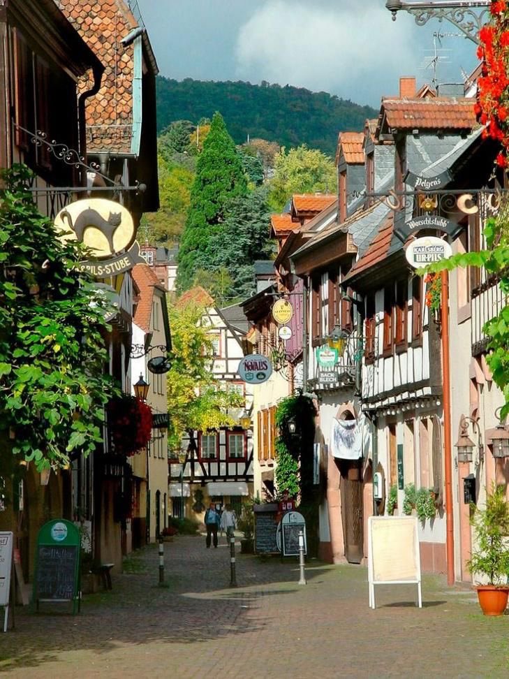 Lea 🌸🌿🕊️ tweet media