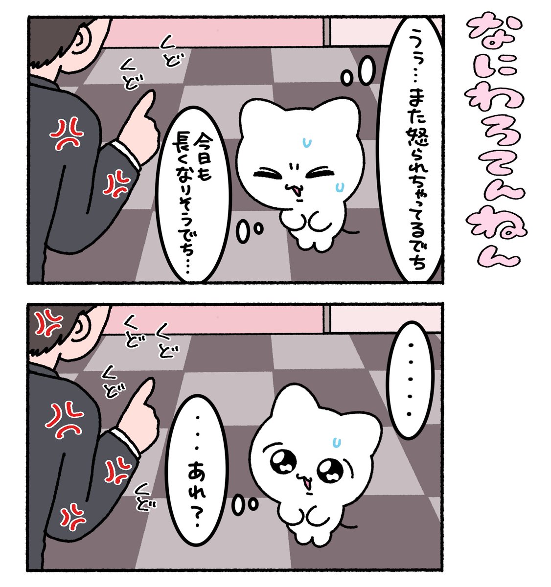 まいにちみーちゃん tweet media