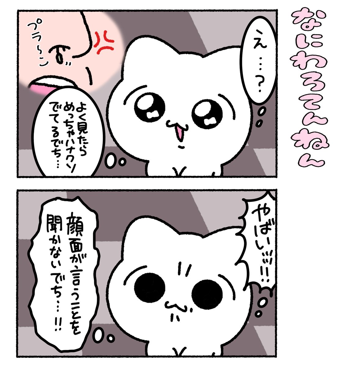 まいにちみーちゃん tweet media