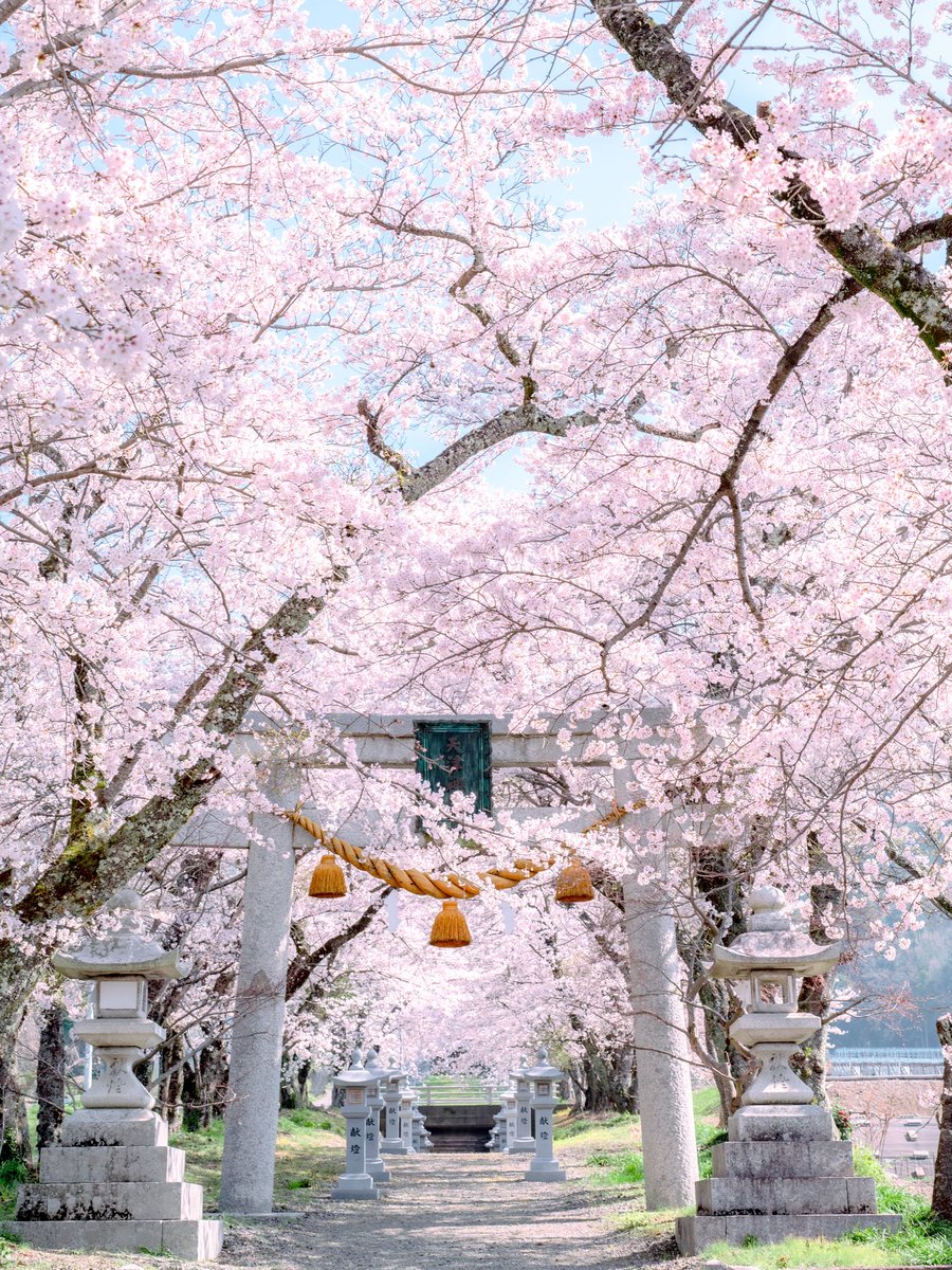 とうや tweet media