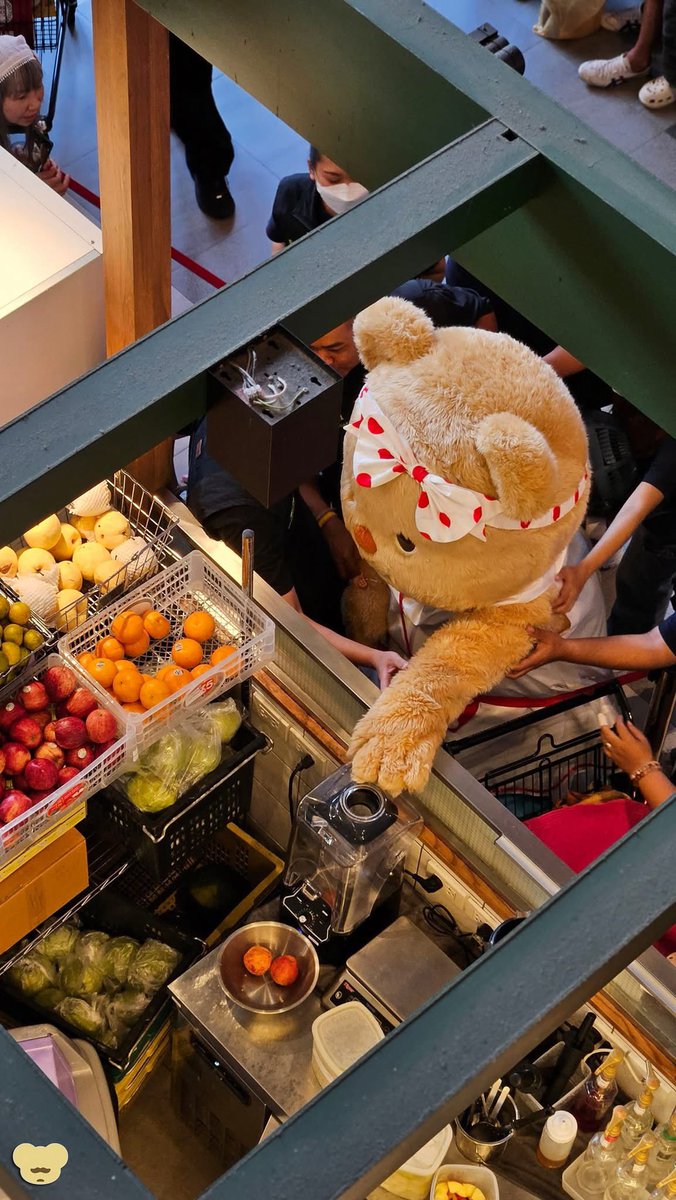 ชบาแก้ว นั่นเธอรึป่าว ที่ใช้งวงไปจุ๊บผลไม้ 🥰😝😂
#Butterbear