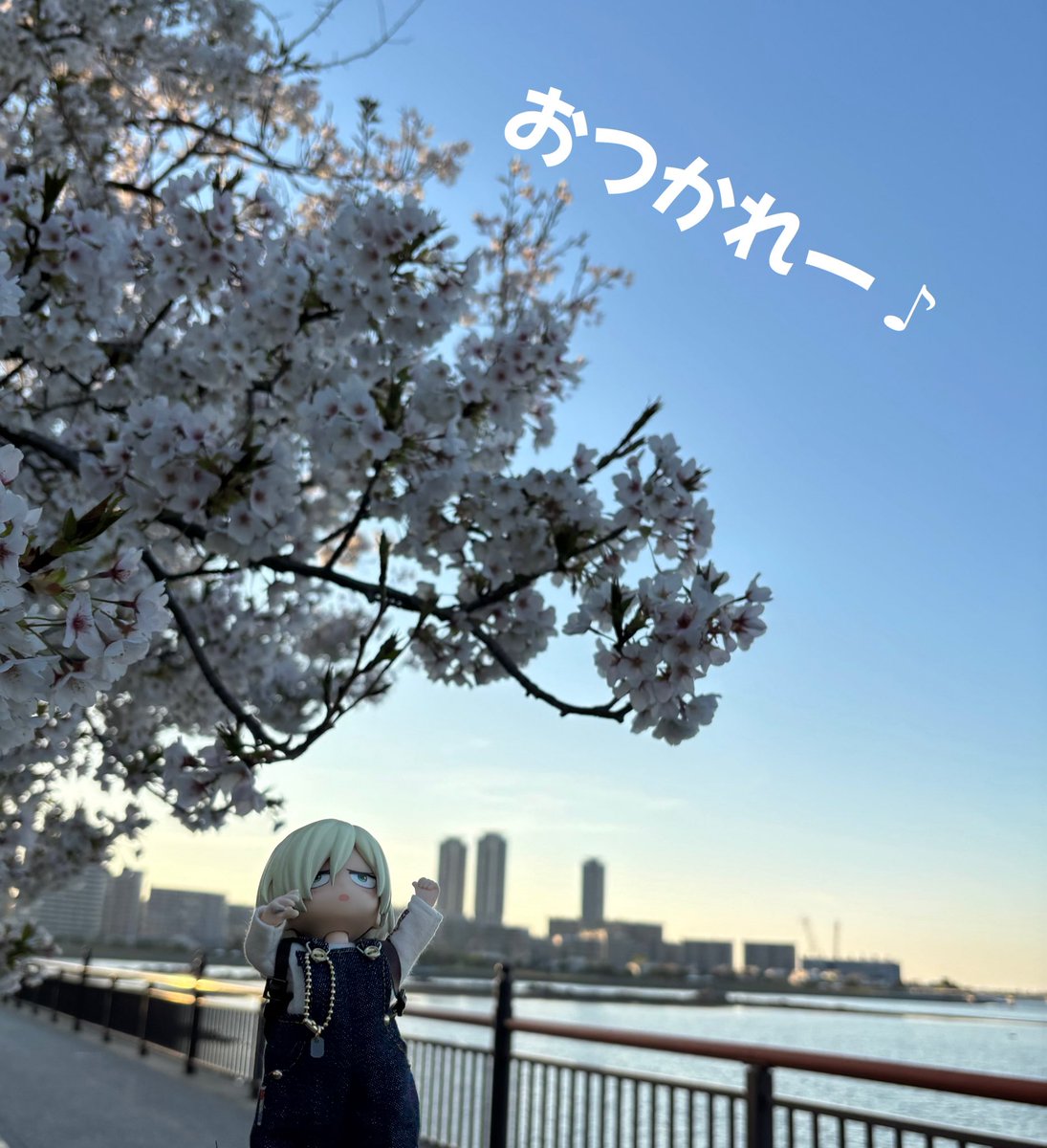 モンステラ tweet media