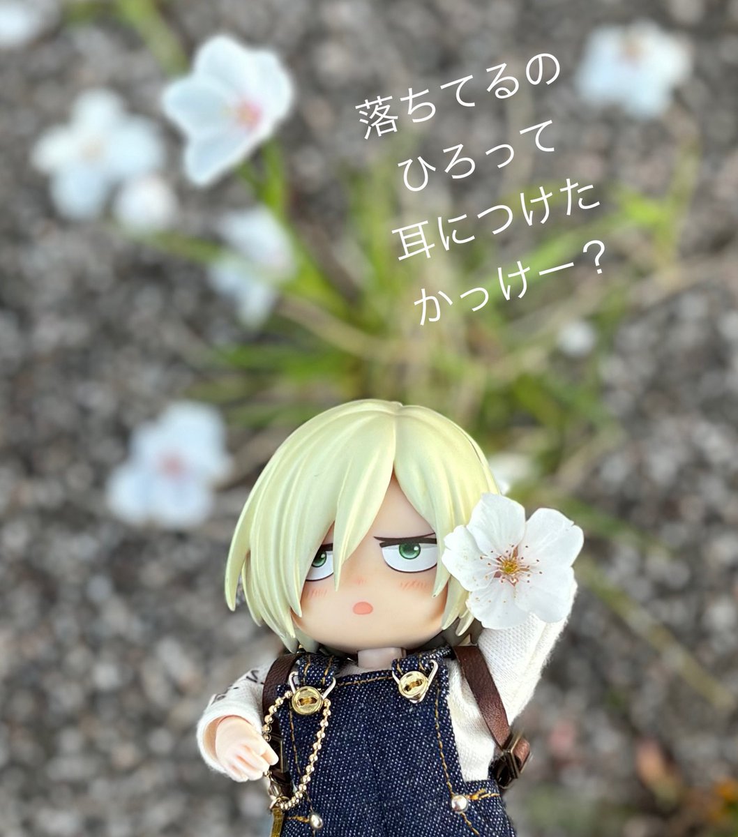 モンステラ tweet media