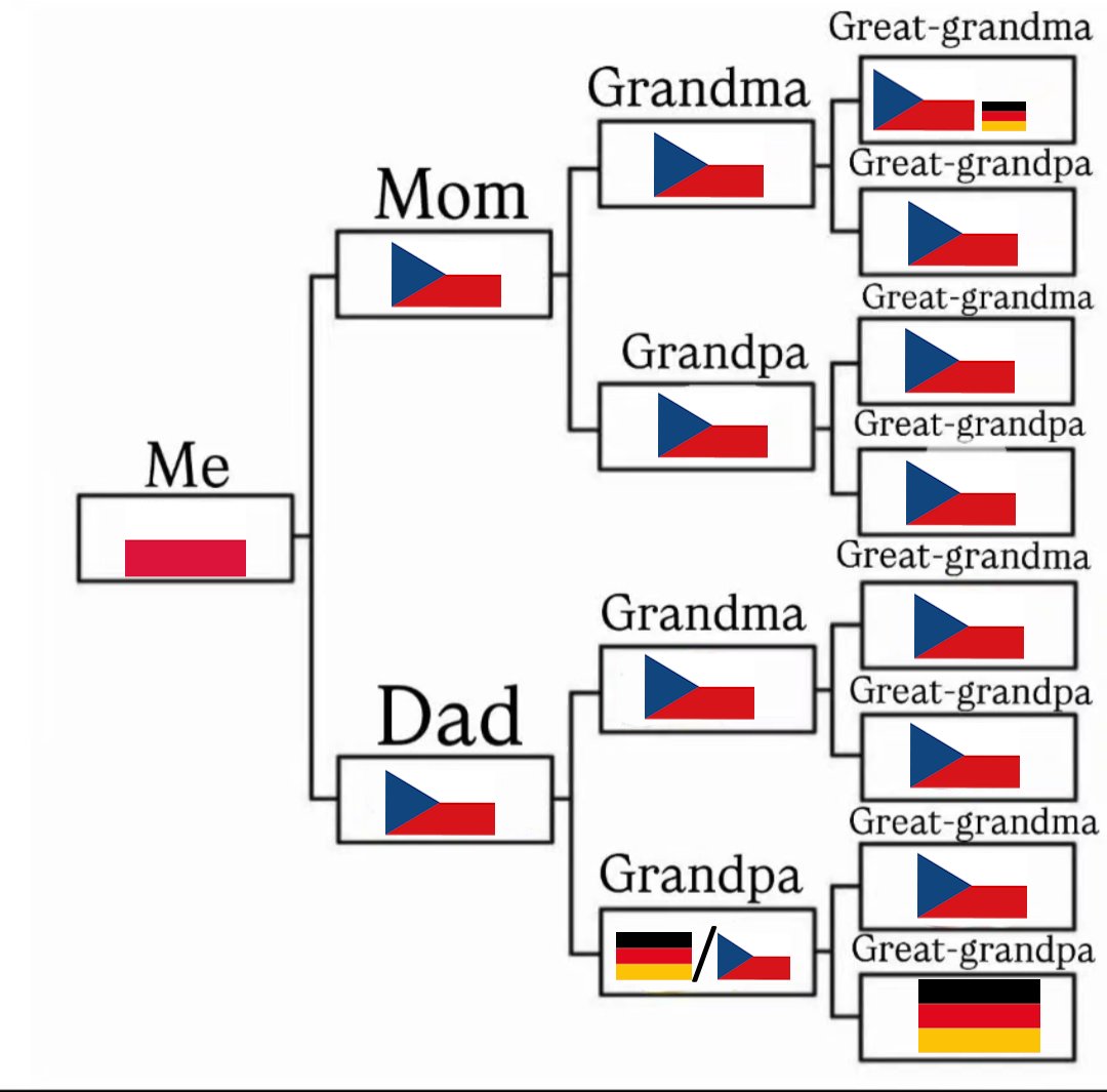 tramvajova trat do Neu-Hohenschönhausenu tweet media