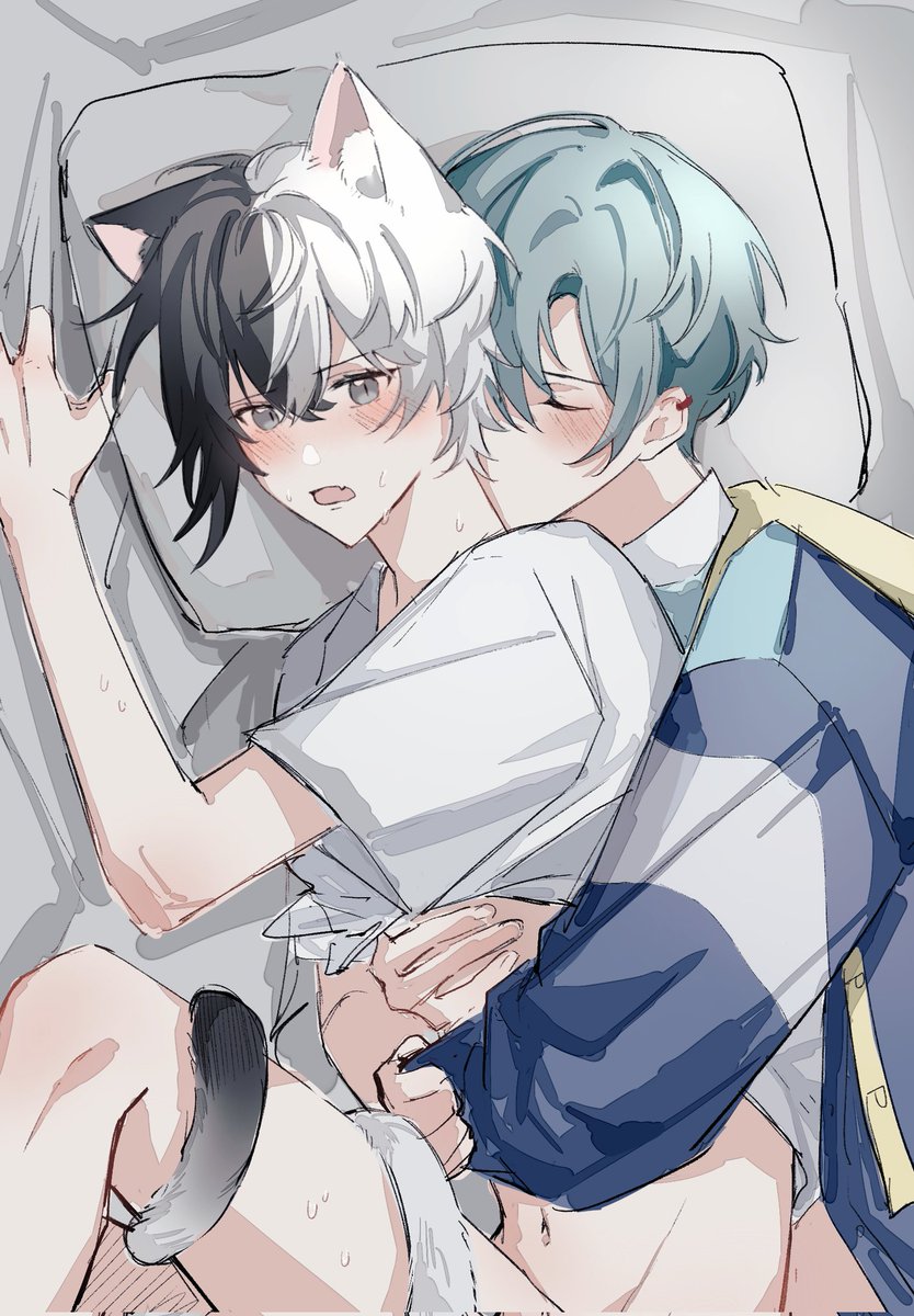 神秘小熊˙ᵕ˙ tweet media