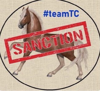 AnnaOrr15's tweet photo. @Isarin1969 Eccertu!
#TeamTC https://t.co/Dx2l4SxHiQ
