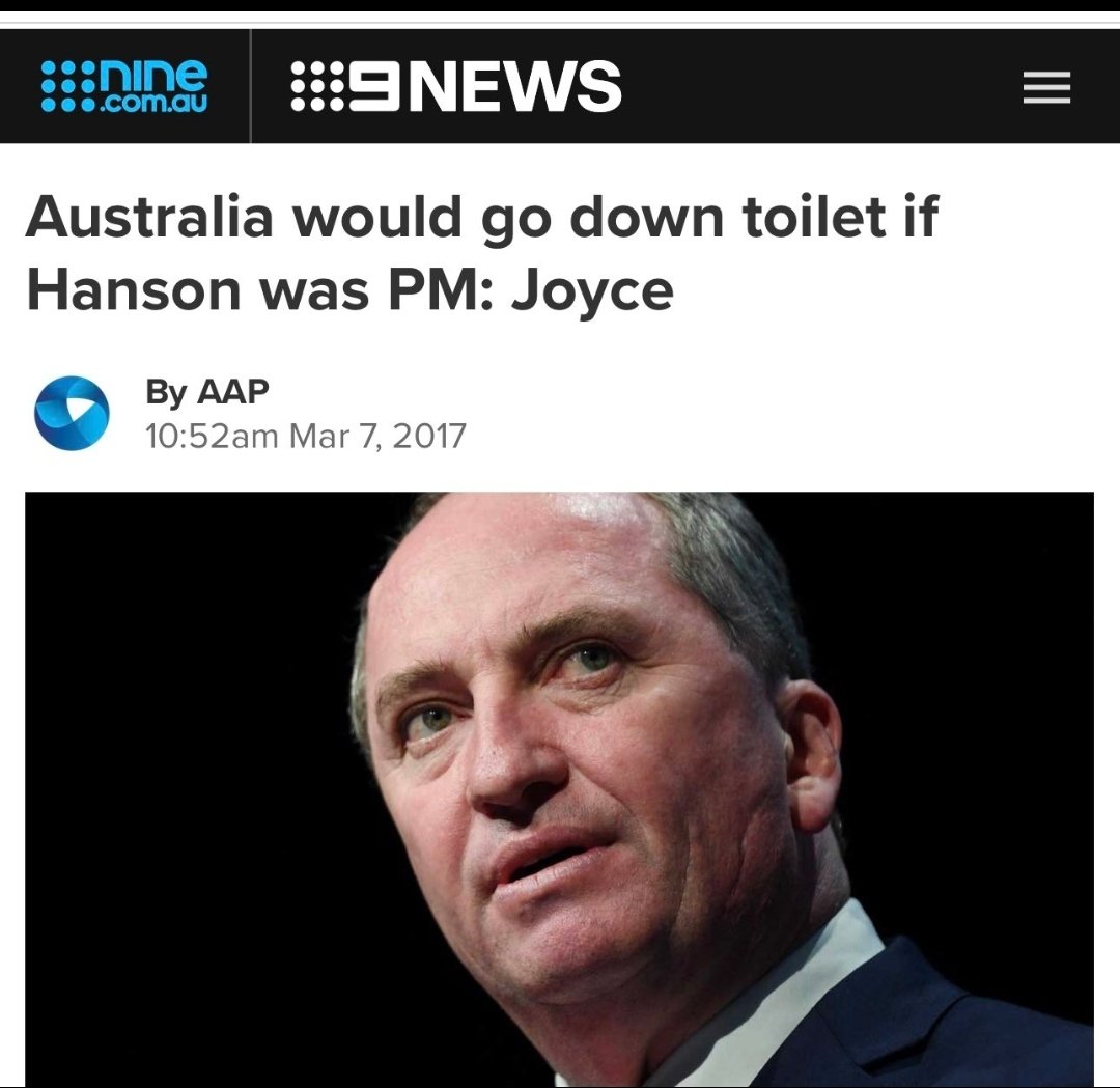 Aussie Forest 🇦🇺 tweet media