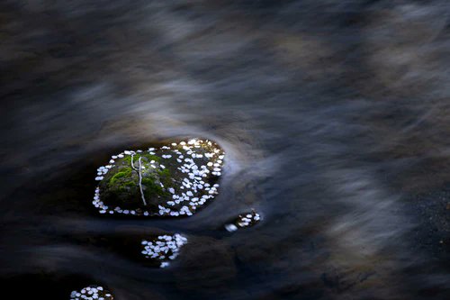 NiSi Filters Japan 公式アカウント tweet media