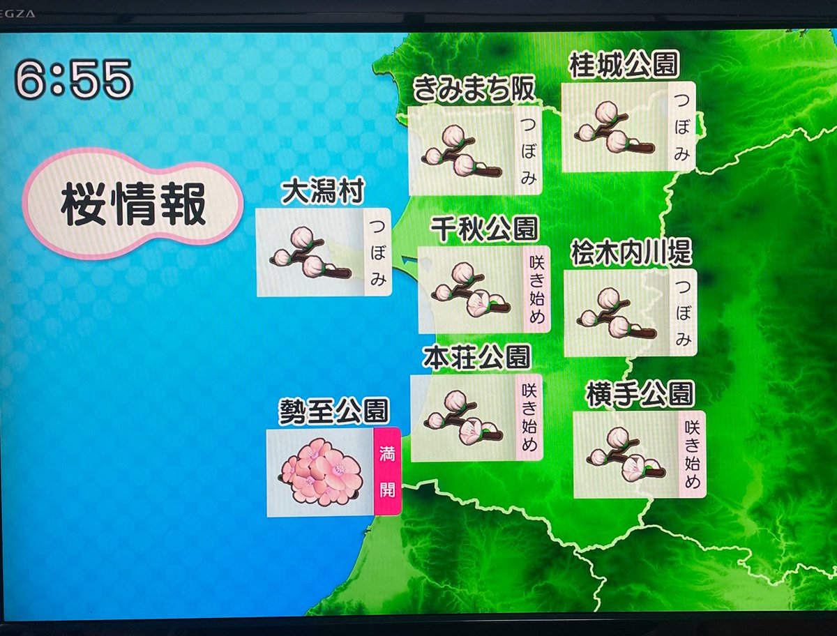 コトネ東北 tweet media