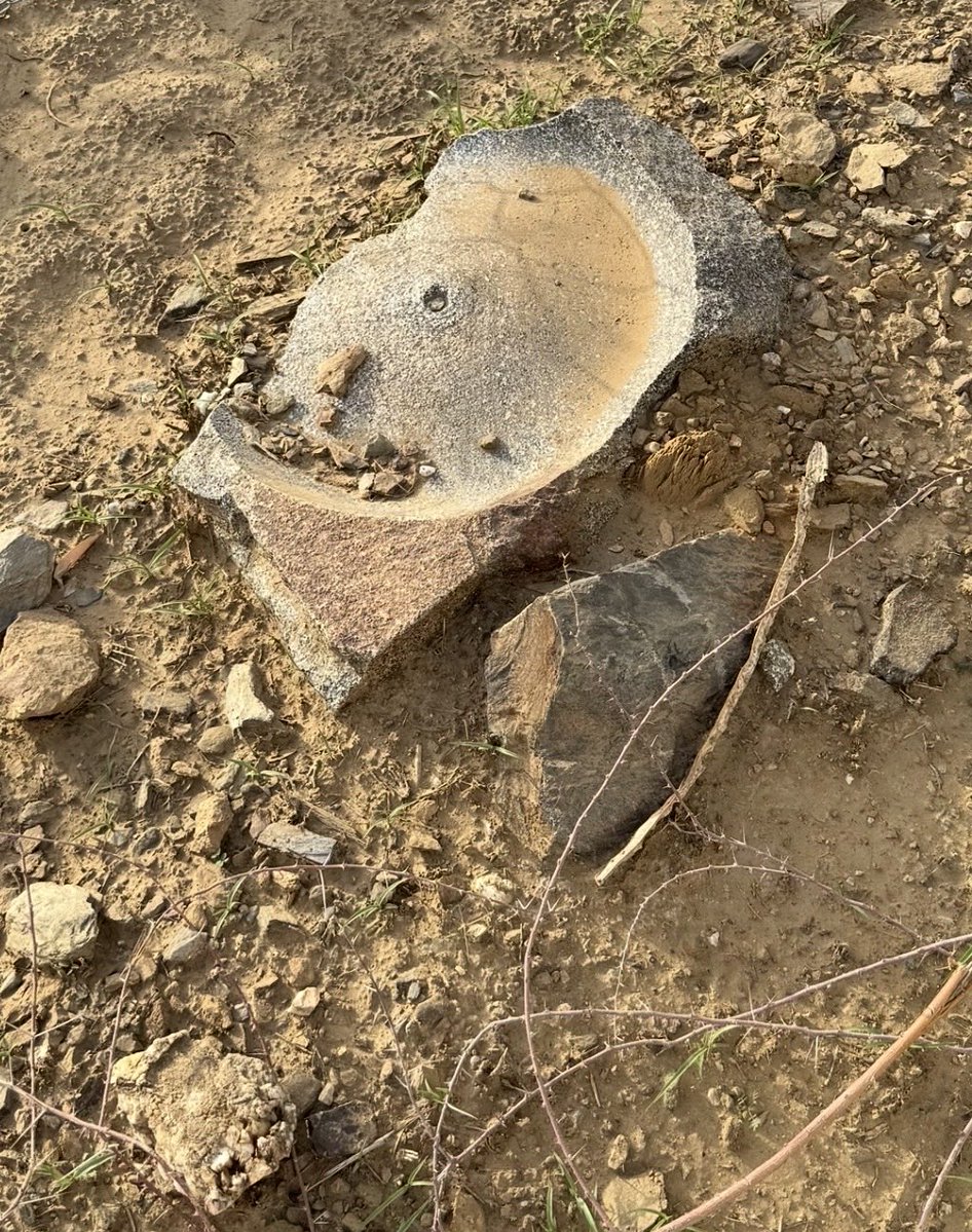 ناصر الشدوي tweet media