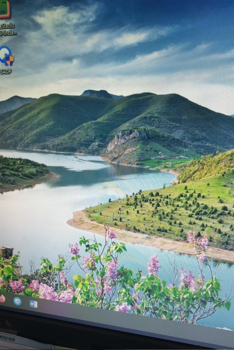 humaniora tweet media