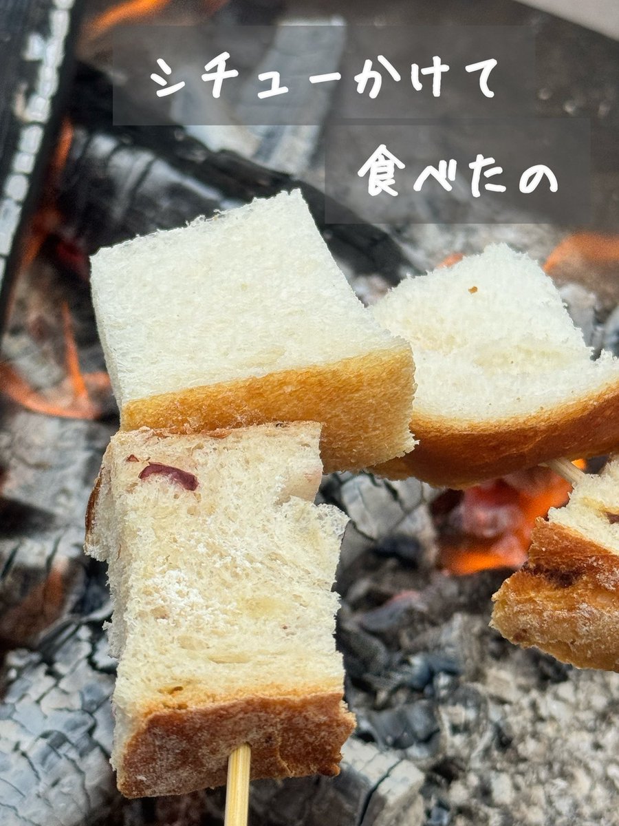 ぬこcamp*° tweet media