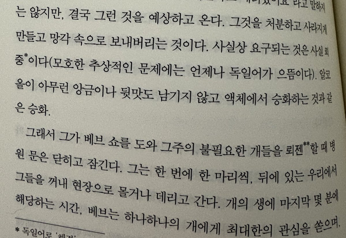 루덴스🥞 tweet media