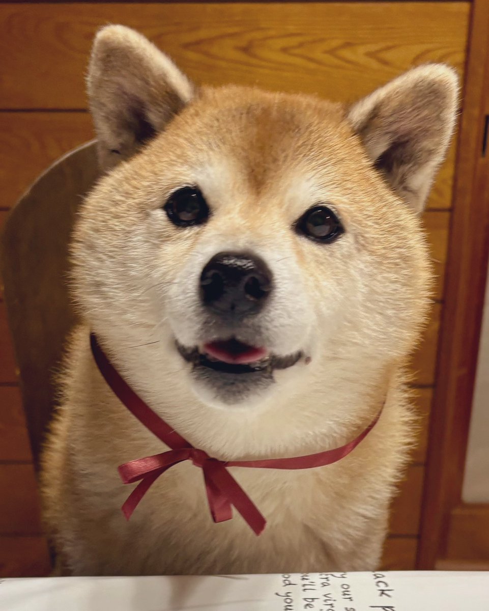 💖柴diary💝 tweet media