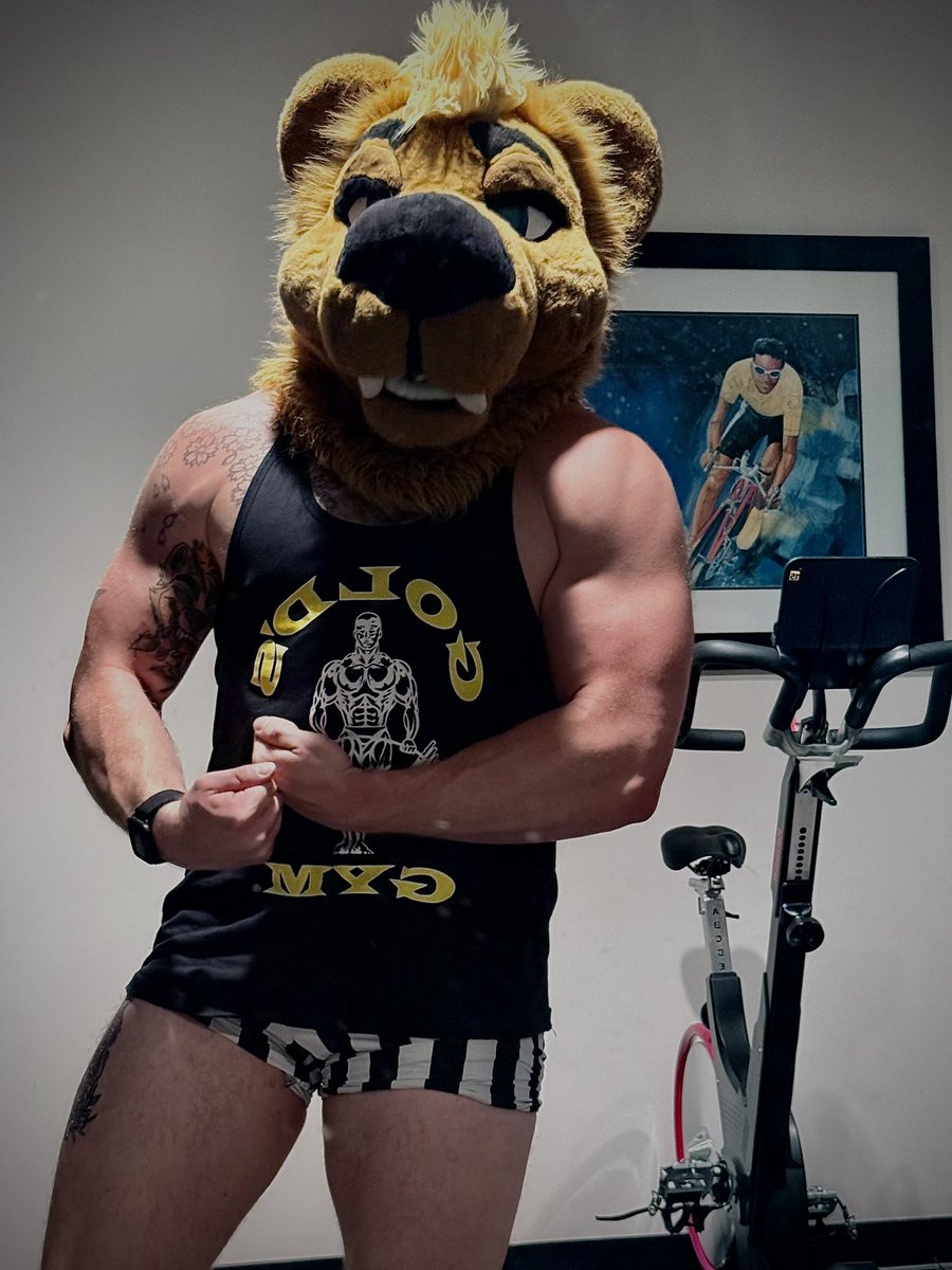 Ryne Bearlet 🔜 BWS, MP tweet media