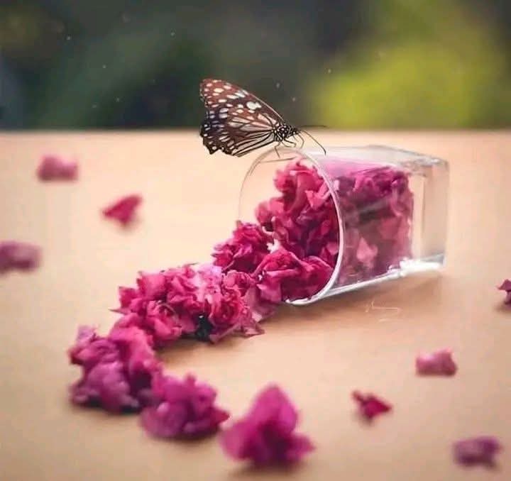 کسی پہ مسلسل پہرہ دینے سے اگر کوئی اپنا بنتا تو دنیا میں اتنے لوگ یونہی نہ بچھڑ جاتے جو آپکا اپنا ہے وہ سینکڑوں لوگوں کی موجودگی میں بھی آپ کو پہچاننے سے انکار نہیں کریں گا ..!

#اردو_زبان