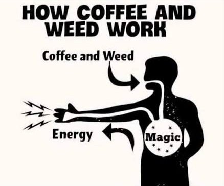 Medical Grower 420 🇺🇸 tweet media