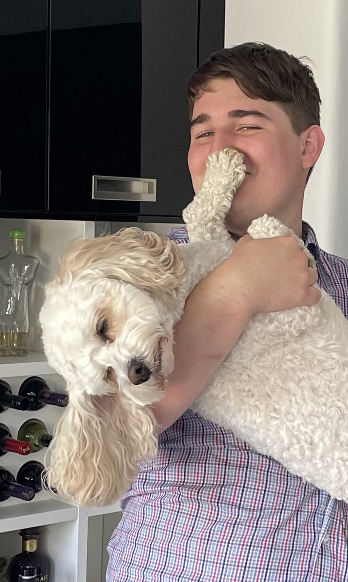 Daisy Dog tweet media