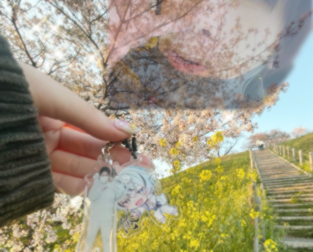 ゆゆぬこ©️ tweet media