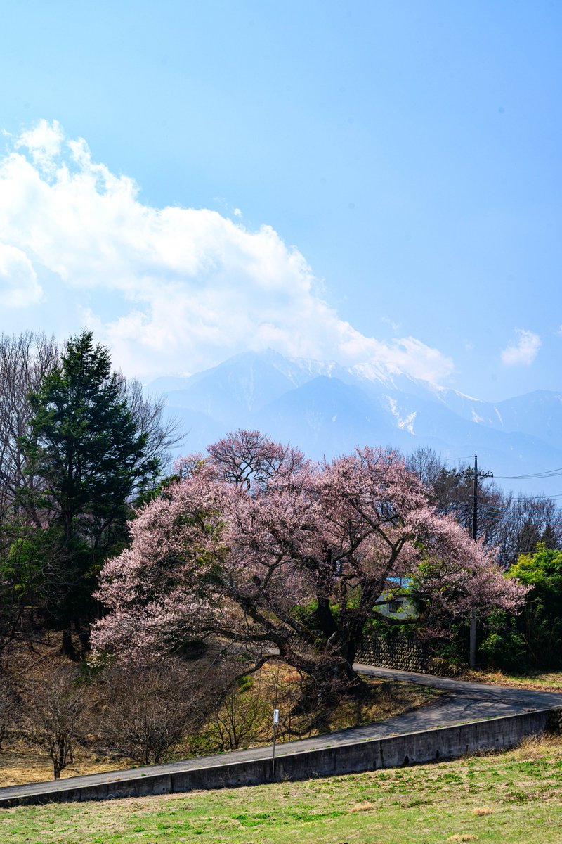 LENSさん tweet media