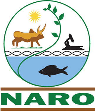 RedPepperUG's tweet photo. #PepperUpdatesUG
Blow to @narouganda ’s Anti-tick Vaccine project as Dr. Andrew Kiggundu, Principal Research Officer & Vaccine Production Manager at @NaLIRRI, passes away!
25+ years advancing biotech, biosafety & research innovation!
His legacy lives on!
RIP! https://t.co/eYYiE2AVdG