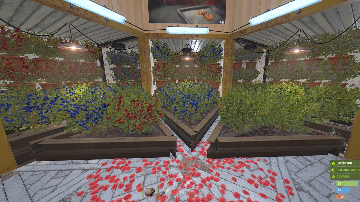 TeaGuyTom tweet media