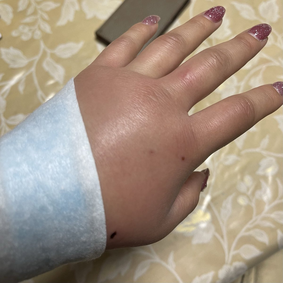 Yucco🐶 tweet media