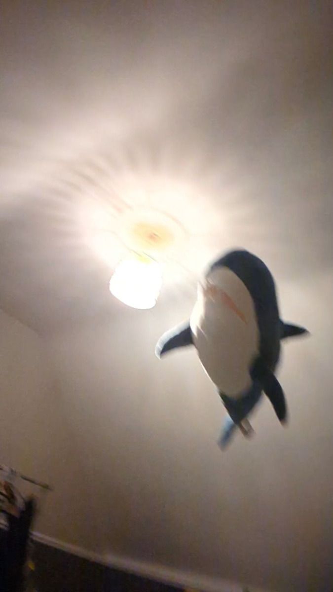 HAHAHAHHHAAAAA!

Im sorry but im losing hope again the shadowban has sent me into the depths of the abyss. Lol.