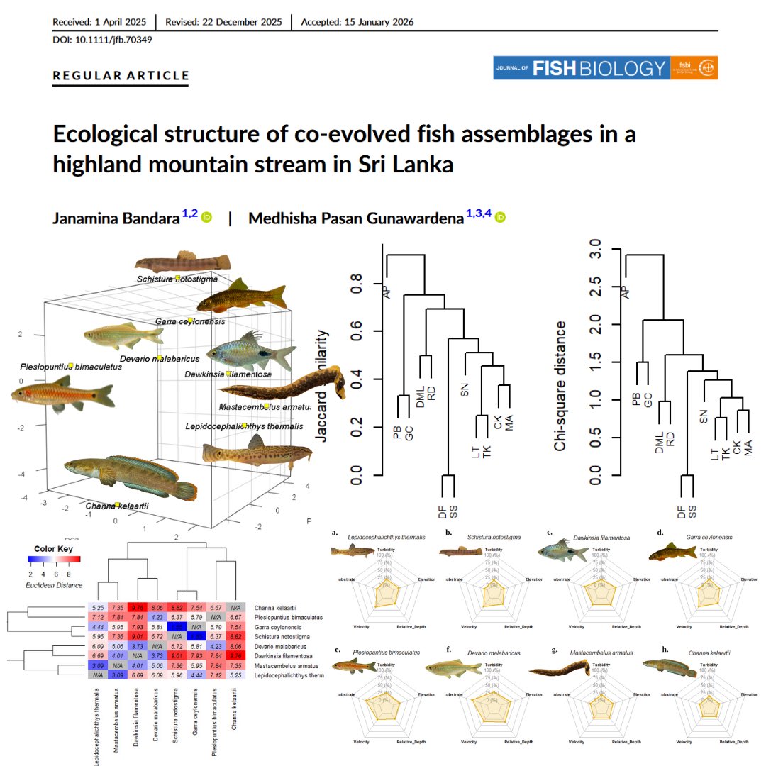 janaminabandara's tweet image. 📖Published!
.
Ecological Structure of Co-evolved Fish Assemblages in a Highland Mountain Stream in Sri Lanka
Read our full article: onlinelibrary.wiley.com/doi/10.1111/jf… 
.
Journal:  Journal pppof Fish Biology, published by Wiley and Fisheries Society of The British Isles
 
@theFSBI #JFB