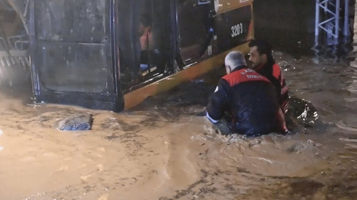 Muhammet Erdevir tweet media