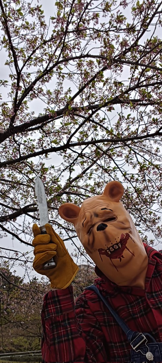 #これをみた人は無言で去年の4月の画像を貼る