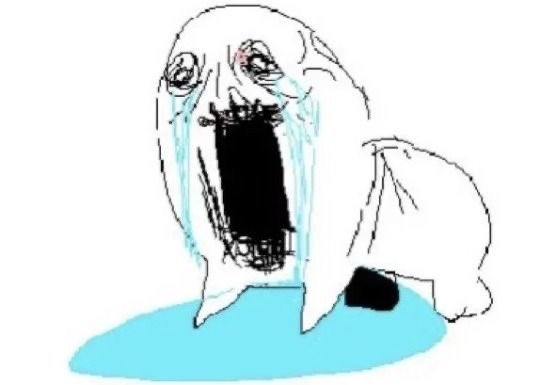 ୨୧ theresa | falena tweet media