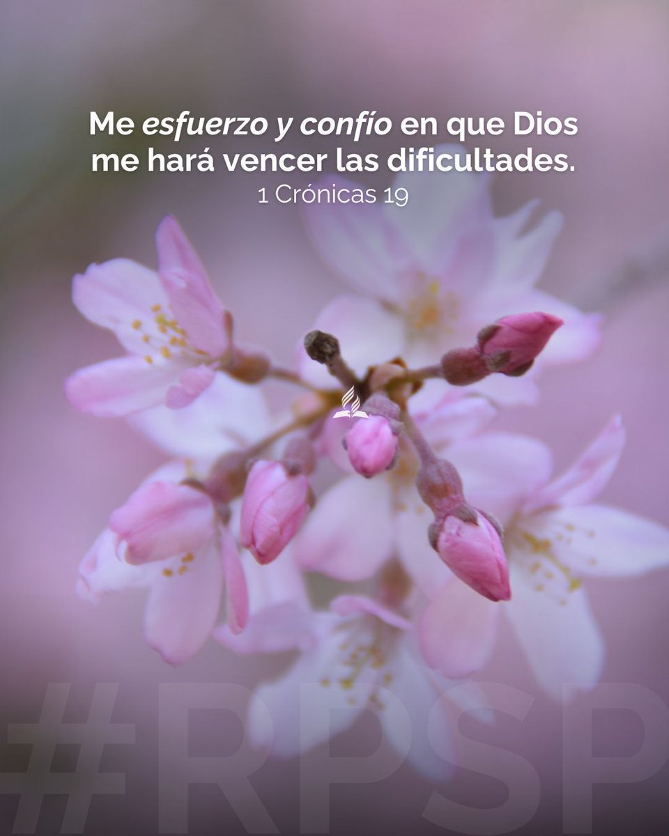 El esfuerzo con confianza en Dios siempre produce victoria.
👉 Sigue firme.
🤗🙏🏼 #rpsp #PrimeroDios #1Crónicas19
📖 🎧  Escucha este RPSP: adv.st/reavivadospors…