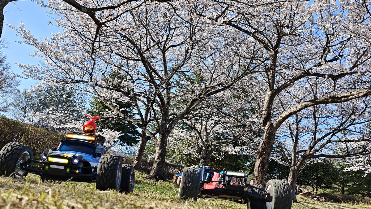 ワンダラー tweet media