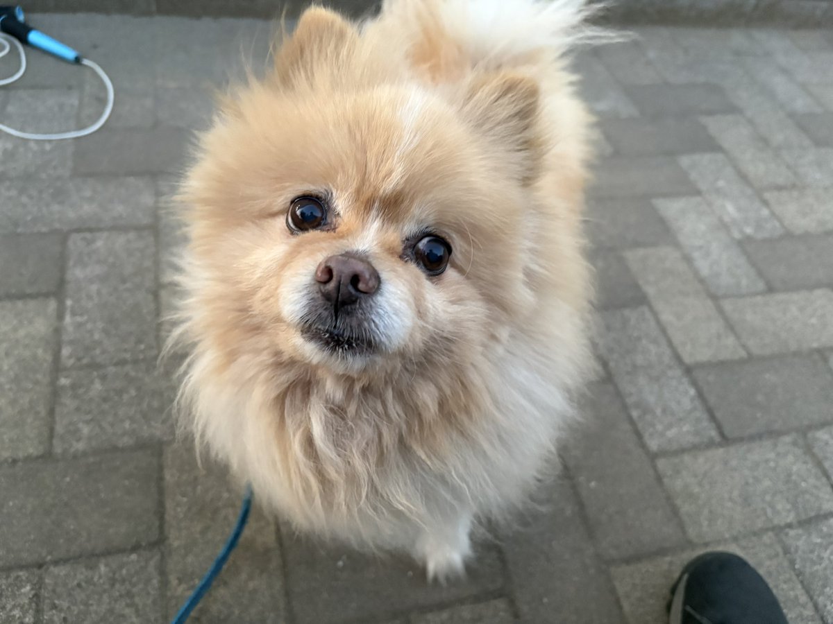 ∞ジェイク∞ tweet media