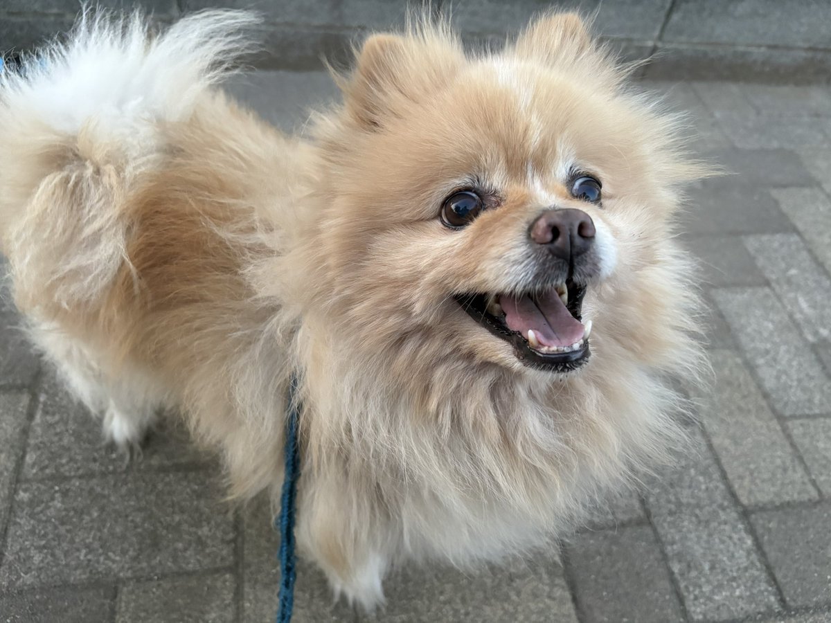 ∞ジェイク∞ tweet media