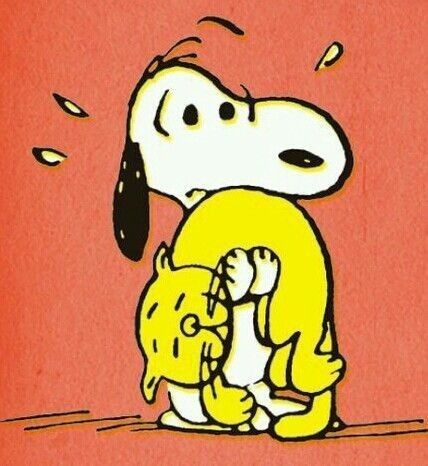 すぬちゃん tweet media