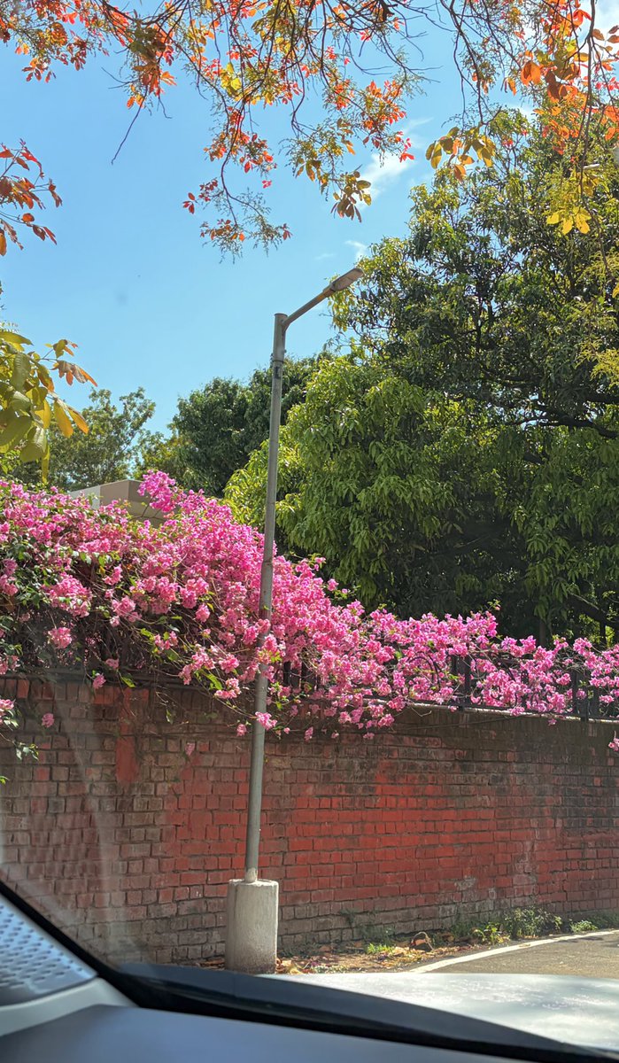 ERAI786's tweet image. Weather vibes💜✨ #Nature #Chandigarh #Punjab