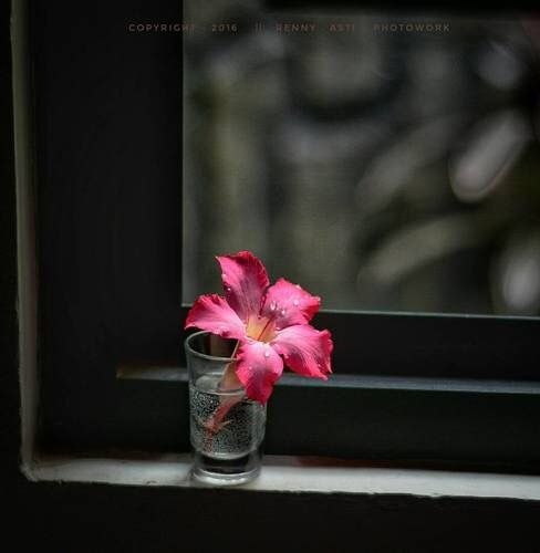 โฟป ๐๐๐ก๐ก๐ฆ ๐ tweet media