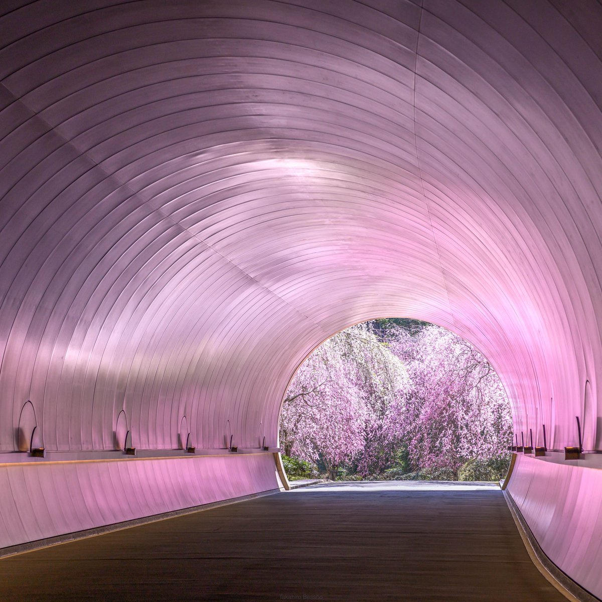 別所隆弘 Takahiro Bessho tweet media