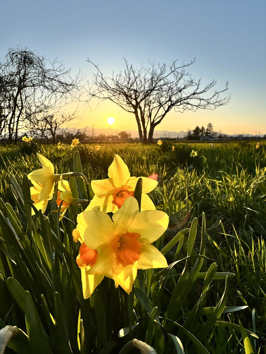 佐々木小次郎 tweet media